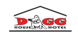 DG House Hotel